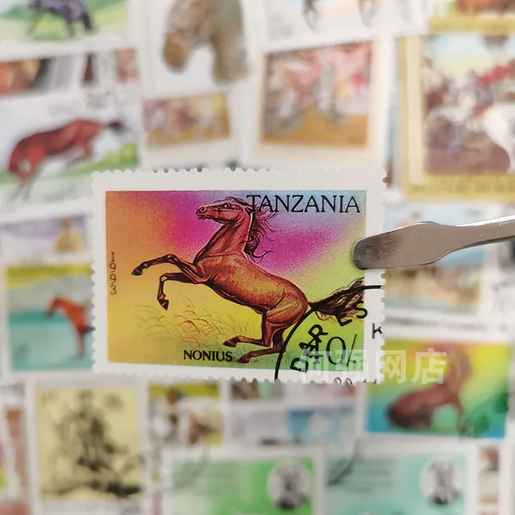 100 Different Horse Stamps Non - Collectible Vintage Postage Stamps 评论和价格